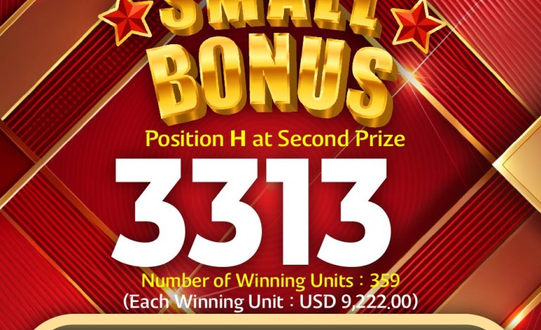 Lucky Number 3313 Brings Big Wins!